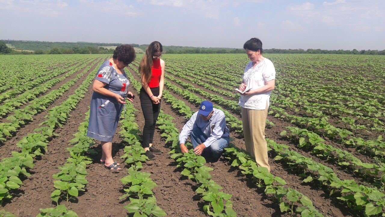 Результати проведення науково-порівняльного виробничого досліду